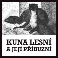 KunaLesni.cz